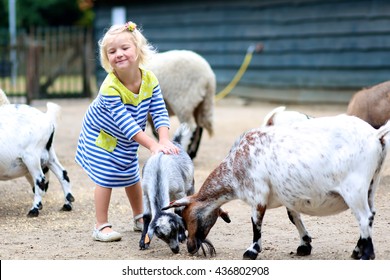 Toddler Girl Petting Little Goats In The Kids Farm. Cute Kind Child Playing And Feeding Animals In The Zoo.