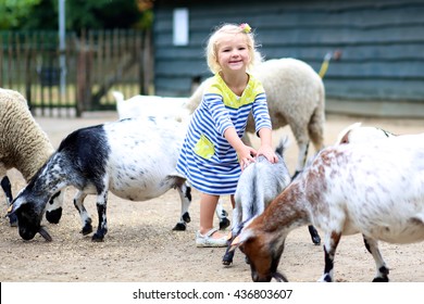 Toddler Girl Petting Little Goats In The Kids Farm. Cute Kind Child Playing And Feeding Animals In The Zoo.