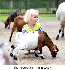 Toddler Girl Petting Little Goats In The Kids Farm. Cute Kind Child Playing And Feeding Animals In The Zoo.