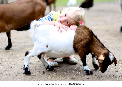 Toddler Girl Petting Little Goats In The Kids Farm. Cute Kind Child Playing And Feeding Animals In The Zoo.