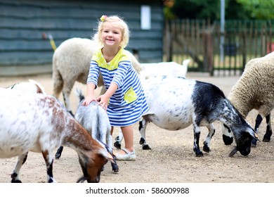 Toddler Girl Petting Little Goats In The Kids Farm. Cute Kind Child Playing And Feeding Animals In The Zoo.