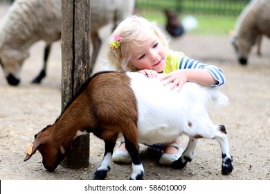 Toddler Girl Petting Little Goats In The Kids Farm. Cute Kind Child Playing And Feeding Animals In The Zoo.