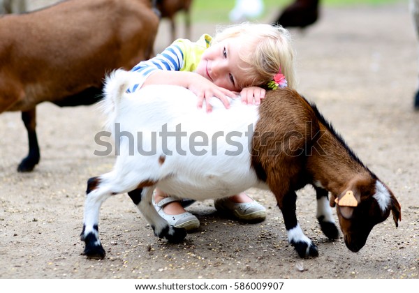 子どもの農場で小さなヤギをふむ幼い女の子 動物園で動物の遊びやえさをしているかわいい子ども の写真素材 今すぐ編集