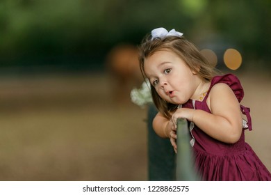 Toddler Preschool  Girl Looking over Fence Room for Text