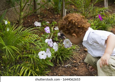Toddler Smelling Flowers In Garden