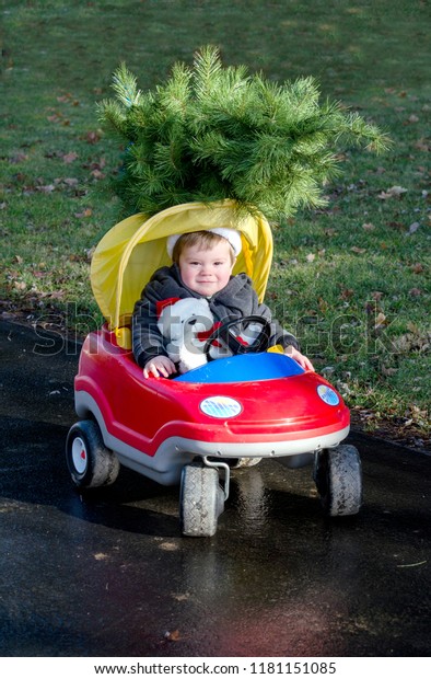 Toddler in a toy car with  small Christmas tree on\
the roof