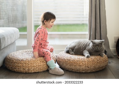 A Toddler Wearing Pink Pyjamas, Long Socks And Slippers Sits On A Wicker Stool And Looks At Her British Short Hair Cat Sat Next To A Her In A House In Edinburgh, Scotland, UK