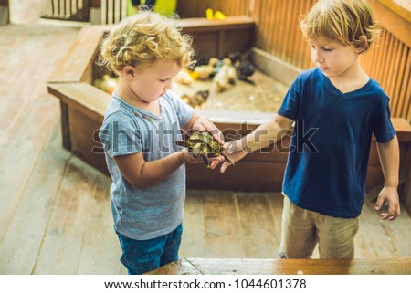 toddlers boy and girl caresses and playing with turtle in the petting zoo. concept of sustainability, love of nature, respect for the world and love for animals. Ecologic, biologic, vegan, vegetarian Stock photo © 