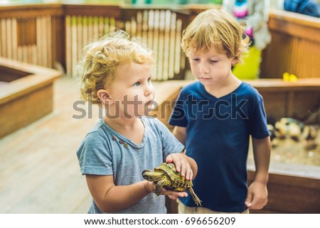 toddlers boy and girl caresses and playing with turtle in the petting zoo. concept of sustainability, love of nature, respect for the world and love for animals. Ecologic, biologic, vegan, vegetarian. Stock photo © 