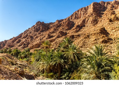 75 Gorge de toudgha Images, Stock Photos & Vectors | Shutterstock