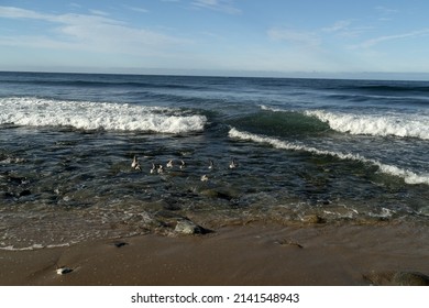 Todos Santos Baja California Beach Landscape