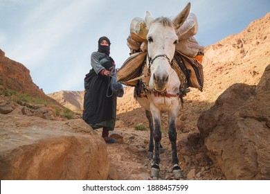 Todra Gorge, Morocco - December 5 2015:  A nomadic Moroccan Berber woman and her pack mule in the hills of the Todra Gorge  in the High Atlas Mountains in Morocco near the village of Tinghir.