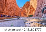 Todra Gorge (Toudgha Gorge) a natural oasis by the Todra River. Tinghir, Morocco.