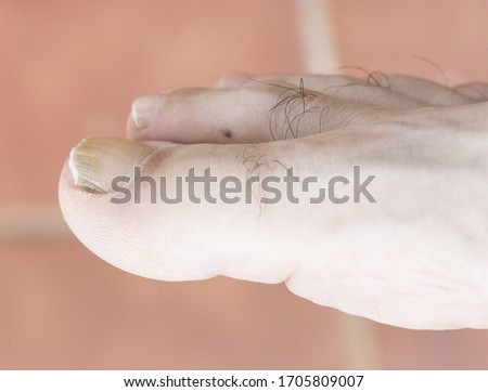 Similar – Image, Stock Photo Resilience, enduring pain, needles from a conifer stuck in your hand