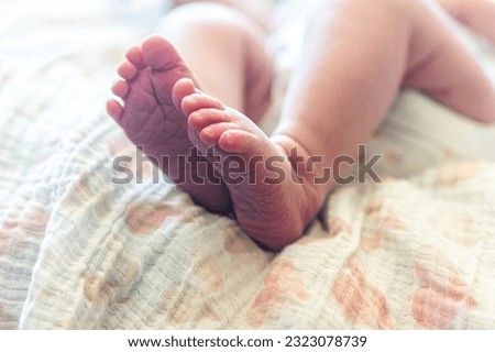 the toes of a newborn baby