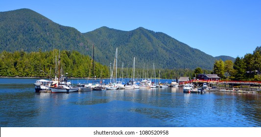 TOFINO BC CANADA 06 17 15: Tofino Harbour on the west coast of Vancouver Island at the western terminus of Highway 4 on  the Esowista Peninsula, at the southern edge of Clayoquot Sound.