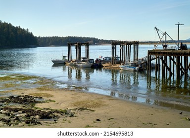 Tofino, British Columbia, Canada – March 31, 2019. Downtown Tofino Harbour Authority Dock. Boats moored at the harbour authority dock in Tofino. Tofino, British Columbia, Canada.

                    