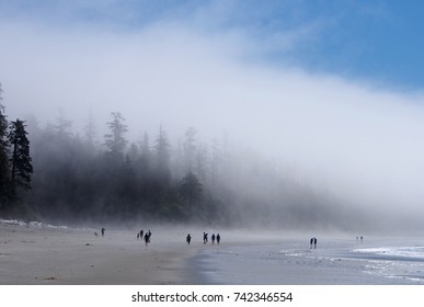 Tofino, Canada on a foggy day. Tofino, on the West Coast of Vancouver Island, is a popular destination for surfers, hikers, and people who are seeking an escape to a pristine, beautiful spot.