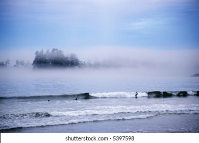 Tofino Surfers