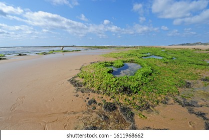 Tofu Beach In Central .Mozambique.Africa.07/08/2012 Photo.Ian Carbutt