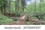 Togakushi-Kodo, it is the old road connected to 5 shrines that make up Togakushi shrine. It runs through the dense forest.  The road from Zuishinmon to Okusha is lined with over 400-year-old cedars.