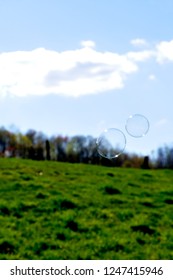 Together, apart we float through this life.  Two bubbles floating toward the deep blue sky