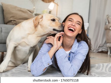 Togetherness Concept. Portrait Of Dog Sniffing Owner's Face, Laughing Girl Lying On The Floor At Home