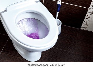 El inodoro en el cuarto de baño. El inodoro en el cuarto de baño o en el baño. El inodoro es blanco. Agua flotante. Agua corriente de inodoro. concepto: Artículos sanitarios, para limpiar y lavar.