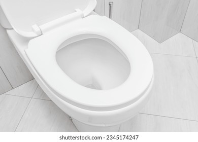 toilet bowl at domestic bathroom.