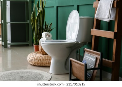 Toilet Bowl And Ladder With Magazine Stand Near Green Wall