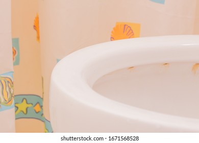 Toilet Bowl And Shower Curtain