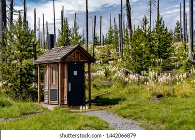 toilet facility, or out house at trailhead for Pacific Crest trail, among the Xerophyllum tenax (bear grass), old time name was "squaw tit", Growing among the dead trees from recent forest fire 