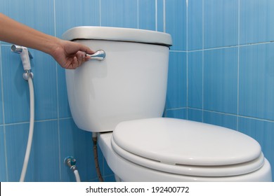 toilet with a flush. Press and flush. - Shutterstock ID 192400772