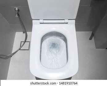 Toilet, Flushing Water, close up, flush toilet , White toilet in the bathroom, Top view of toilet bowl - Shutterstock ID 1481910764