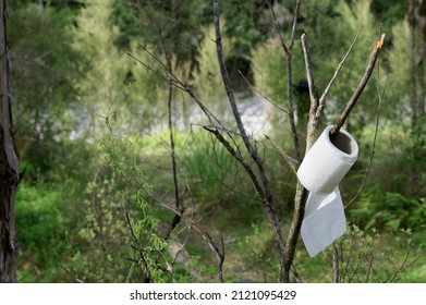 Toilet paper is hung on a tree branch while camping. This indicates that the camp loo if vacant.
