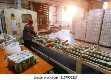 Toilet Paper Production Line. Worker With Conveyor.