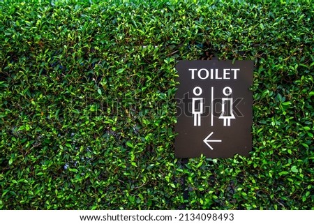 toilet sign for men and women on the green grass wall background. image