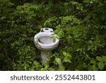 
toilets, abandoned toilets in nature, waste, illegal dumping