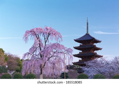 Toji Temple In Spring, Kyoto, Japan