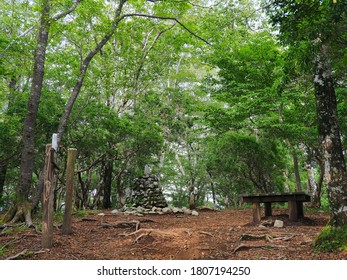   Tokai Nature Trail That Runs Through The Mountains Of Yamanashi Prefecture.