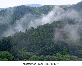   Tokai Nature Trail that runs through the mountains of Yamanashi Prefecture.