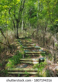   Tokai Nature Trail That Runs Through The Mountains Of Yamanashi Prefecture.