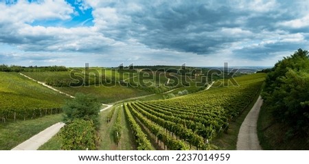 Tokaj wine region in Hungary aerial landscape panorama. Ordogarok. Stock fotó © 