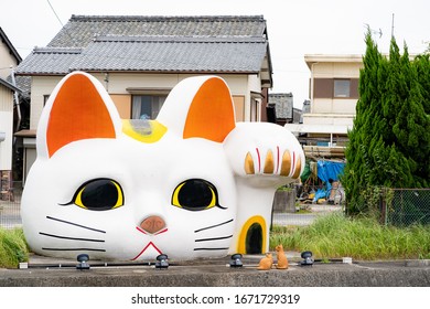 Toko Nyan, An Object Of A Watching Cat