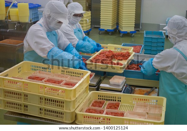 Tokoname Japan Marc 10th 2018: workers are busy\
in Pollock roe factory \
It is the roe of Alaska pollock. \
Salted\
pollock roe is a popular culinary ingredient in Korean, Japanese,\
and Russian cuisines