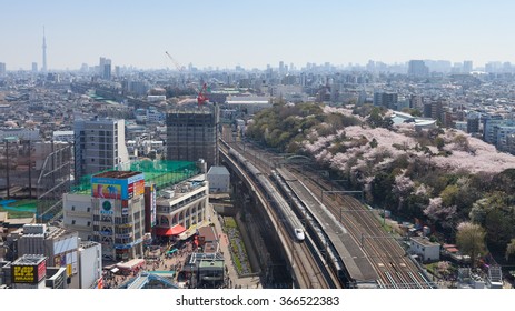 TOKYO - APRIL 2: Top View Of The E2 Series Bullet Train And Cherry Blossom Trees On April 2 , 2015 In Tokyo. E2 Series Service As Asama For Hokuriku Shinkansen Line (Tokyo - Kanazawa Or Nagano Route).