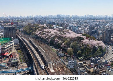 TOKYO - APRIL 2: Top View Of The E2 Series Bullet Train And Cherry Blossom Trees On April 2 , 2015 In Tokyo. E2 Series Service As Asama For Hokuriku Shinkansen Line (Tokyo - Kanazawa Or Nagano Route).