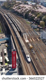 TOKYO - APRIL 2: Top View Of The E2 Series Bullet Train And Cherry Blossom Trees On April 2 , 2015 In Tokyo. E2 Series Service As Asama For Hokuriku Shinkansen Line(Tokyo - Kanazawa Or Nagano Route).