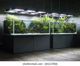 TOKYO AQUARIUM, JAPAN, JUNE 2016 - Amazing aquarium design.  - Shutterstock ID 641117836