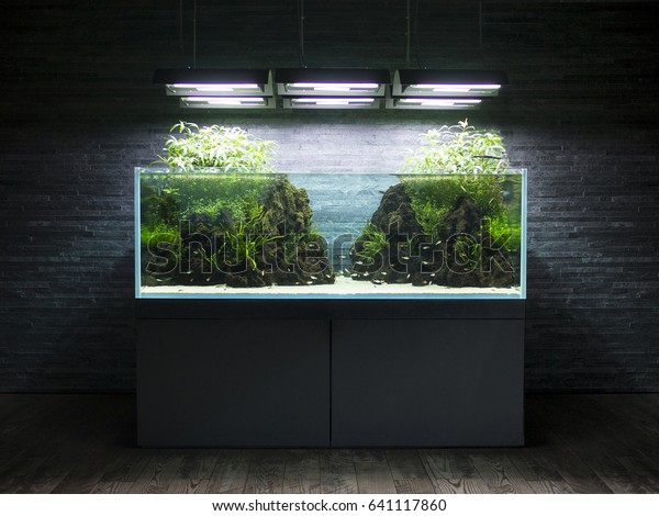 9100 Koleksi Aquarium Design Japan Terbaik